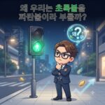 왜 우리는 초록불을 파란불이라 부를까?