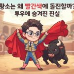 황소는 왜 빨간색에 돌진할까? 투우에 숨겨진 진실